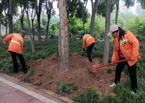 秋季移植添新綠，精細養護煥新顏 樹木種植指南